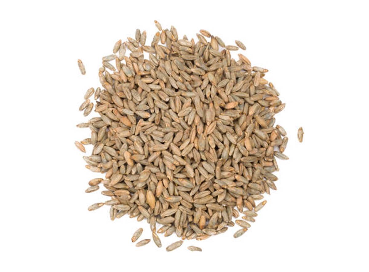 Rye (EBC 4-10)